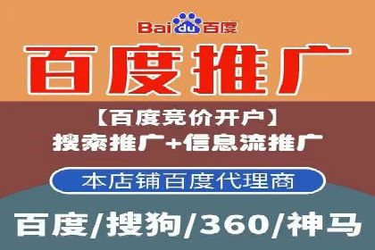 SEM广告投放的精准定位与优化案例